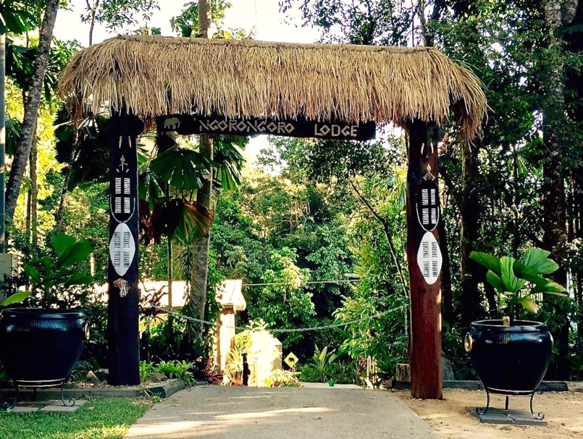 Kuranda Ngorongoro Lodge Dış mekan fotoğraf